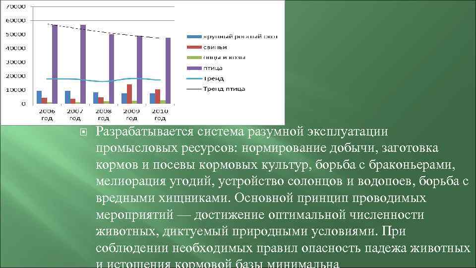  Разрабатывается система разумной эксплуатации промысловых ресурсов: нормирование добычи, заготовка кормов и посевы кормовых