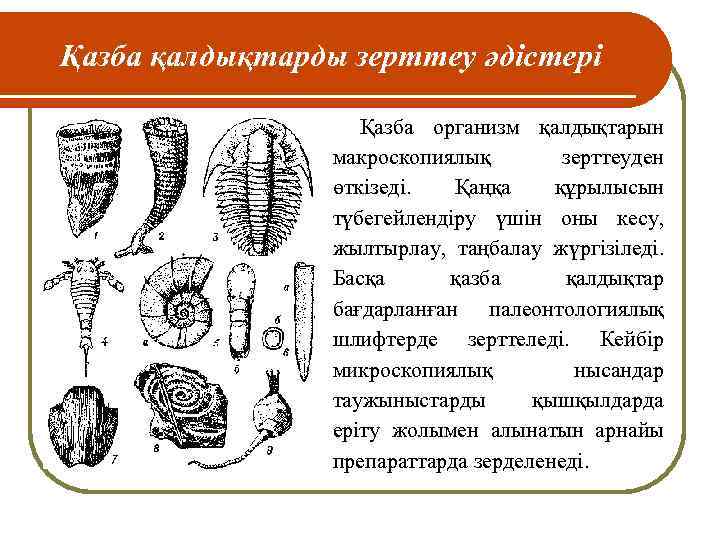 Қазба қалдықтарды зерттеу әдістері Қазба организм қалдықтарын макроскопиялық зерттеуден өткізеді. Қаңқа құрылысын түбегейлендіру үшін