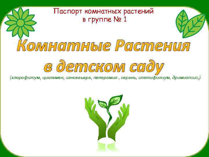 Паспорт комнатных растений в детском саду для всех групп в картинках и описание