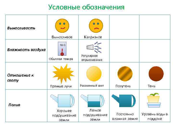 Условные обозначения Выносливость Выносливое Капризное 18 С Влажность воздуха Обычная тем-ра Регулярное опрыскивание Прямые
