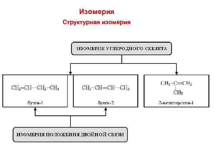 Изомерия Структурная изомерия 