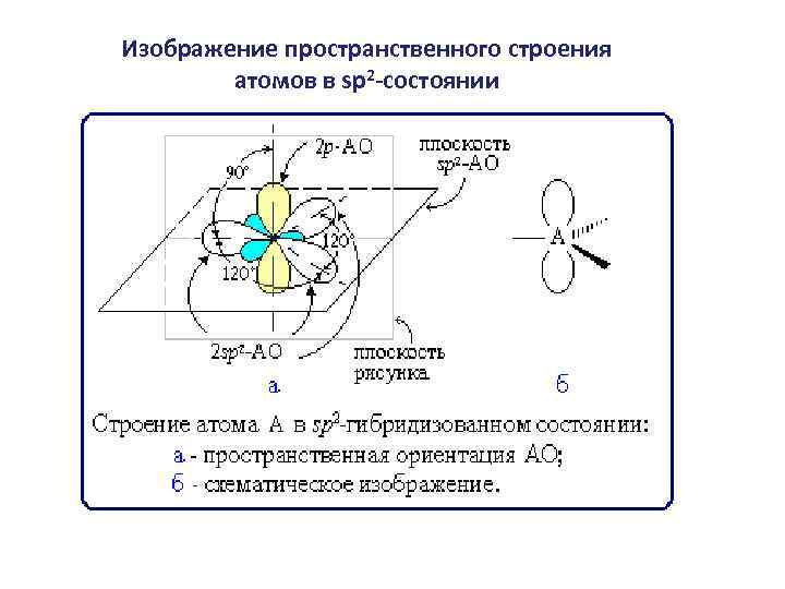 Изображение пространственного строения атомов в sp 2 -состоянии 