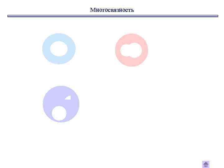 Многосвязность 