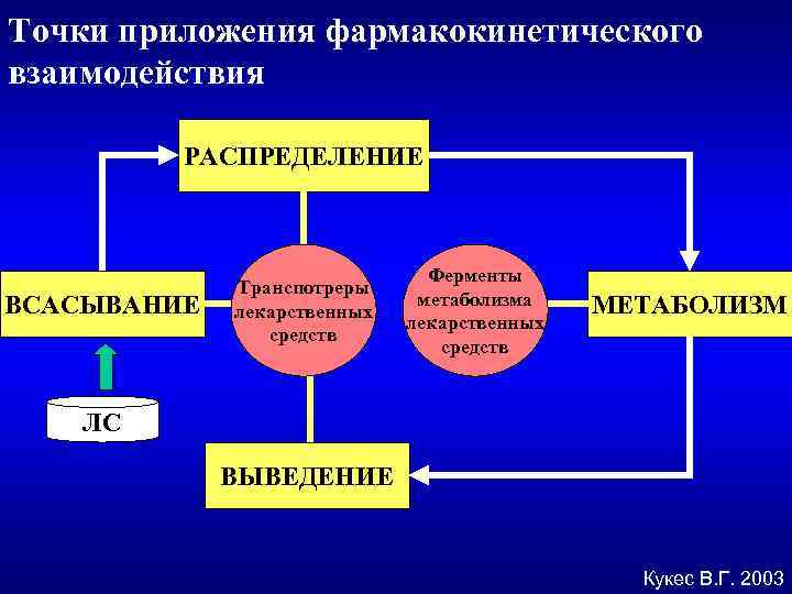 Точки приложения фармакокинетического взаимодействия РАСПРЕДЕЛЕНИЕ ВСАСЫВАНИЕ Транспотреры лекарственных средств Ферменты метаболизма лекарственных средств МЕТАБОЛИЗМ