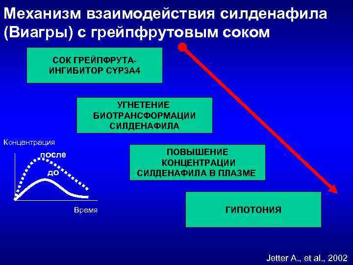 Механизм взаимодействия силденафила (Виагры) с грейпфрутовым соком СОК ГРЕЙПФРУТАИНГИБИТОР CYP 3 A 4 УГНЕТЕНИЕ