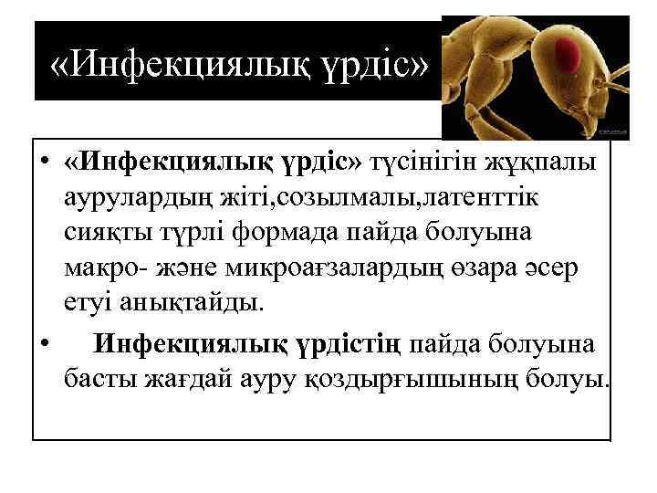  «Инфекциялық үрдіс» • «Инфекциялық үрдіс» түсінігін жұқпалы аурулардың жіті, созылмалы, латенттік сияқты түрлі