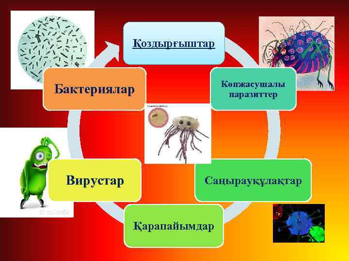 Қоздырғыштар Бактериялар Көпжасушалы паразиттер Вирустар Саңырауқұлақтар Қарапайымдар 