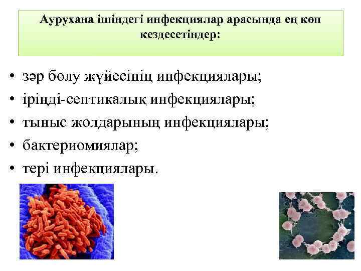 Аурухана ішіндегі инфекциялар арасында ең көп кездесетіндер: • • • зәр бөлу жүйесінің инфекциялары;