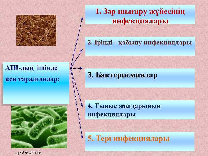 1. Зәр шығару жүйесінің инфекциялары 2. Іріңді - қабыну инфекциялары АІИ-дың ішінде кең таралғандар: