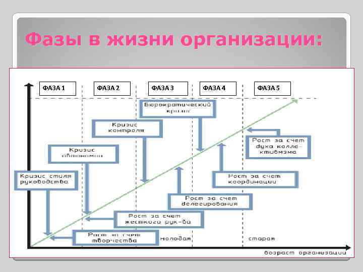 2 3 4 5 организация. Фазы предприятия. Фазы жизни компании. Стадий жизни организации.фаза 1. Организация жизни.