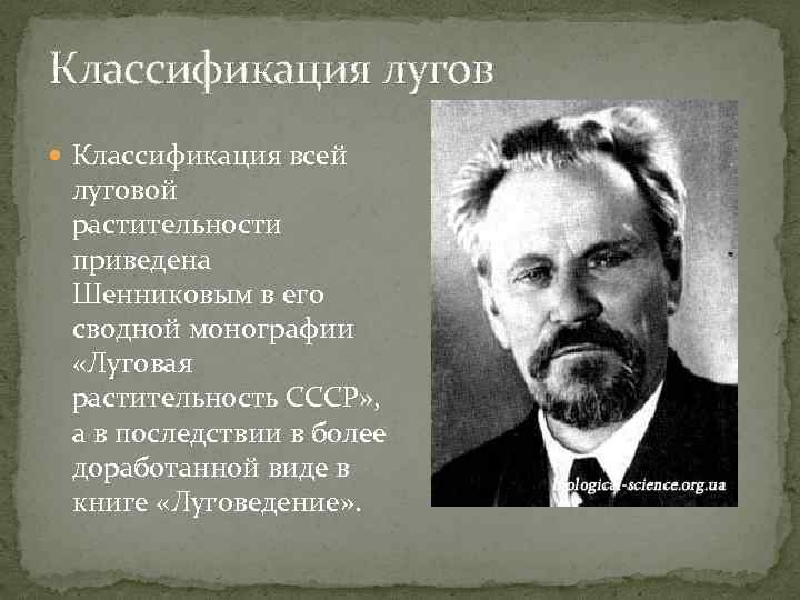 Классификация лугов Классификация всей луговой растительности приведена Шенниковым в его сводной монографии «Луговая растительность