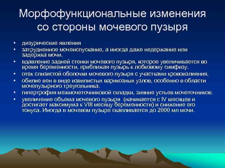 Морфофункциональные изменения со стороны мочевого пузыря • • дизурические явления затрудненное мочеиспускание, а иногда