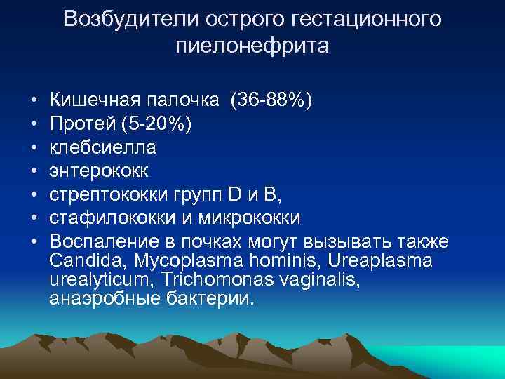 Возбудители острого гестационного пиелонефрита • • Кишечная палочка (36 -88%) Протей (5 -20%) клебсиелла