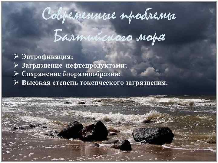 Современные проблемы Балтийского моря Ø Ø Эвтрофикация; Загрязнение нефтепродуктами; Сохранение биоразнообразия; Высокая степень токсического