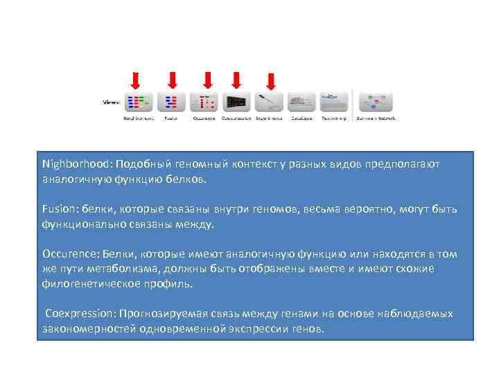 Nighborhood: Подобный геномный контекст у разных видов предполагают аналогичную функцию белков. Fusion: белки, которые