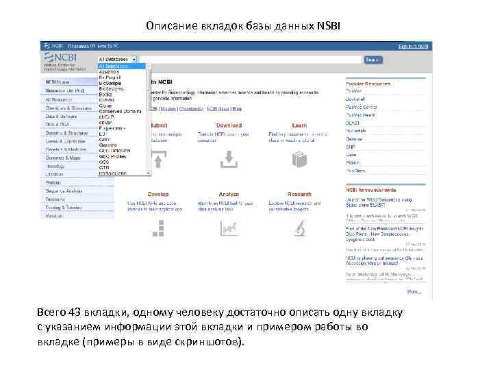 Описание вкладок базы данных NSBI Всего 43 вкладки, одному человеку достаточно описать одну вкладку