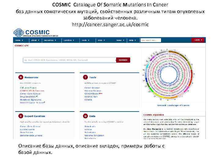 COSMIC Catalogue Of Somatic Mutations In Cancer баз данных соматических мутаций, свойственных различным типам