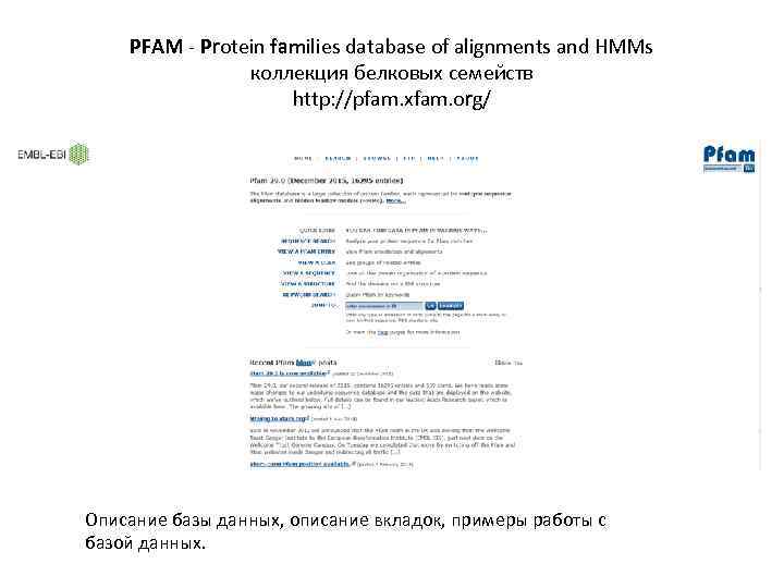 PFAM - Protein families database of alignments and HMMs коллекция белковых семейств http: //pfam.