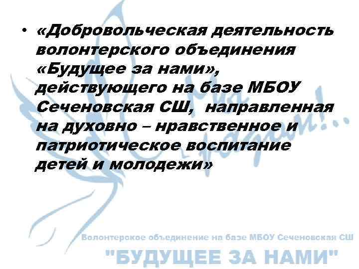  • «Добровольческая деятельность волонтерского объединения «Будущее за нами» , действующего на базе МБОУ