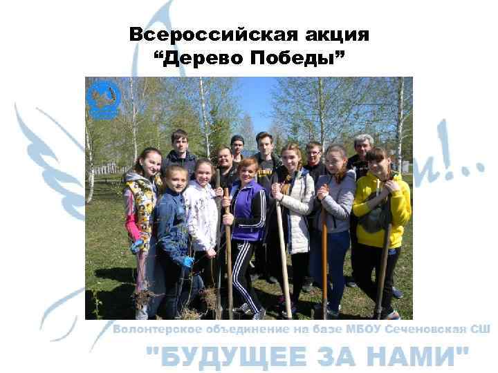 Всероссийская акция “Дерево Победы” 