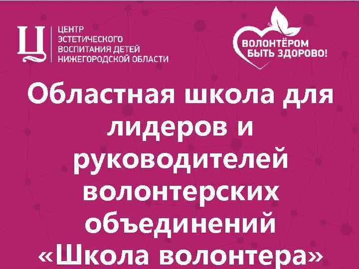 Областная школа для лидеров и руководителей волонтерских объединений «Школа волонтера» 