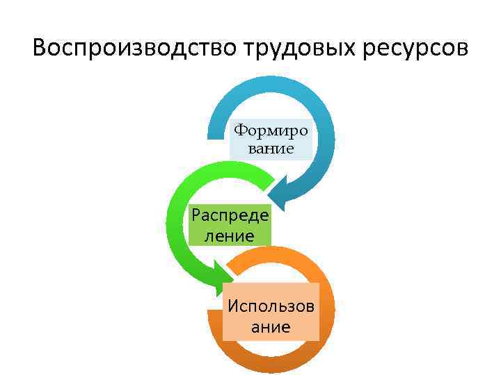 Воспроизводство региона