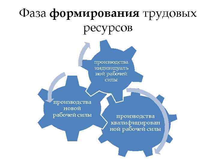 Ресурсы воспроизводство. Фаза формирования ресурсов труда. Воспроизводство трудовых ресурсов.