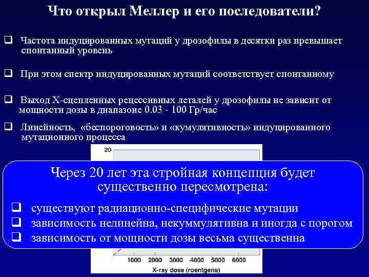 Что открыл Меллер и его последователи? q Частота индуцированных мутаций у дрозофилы в десятки