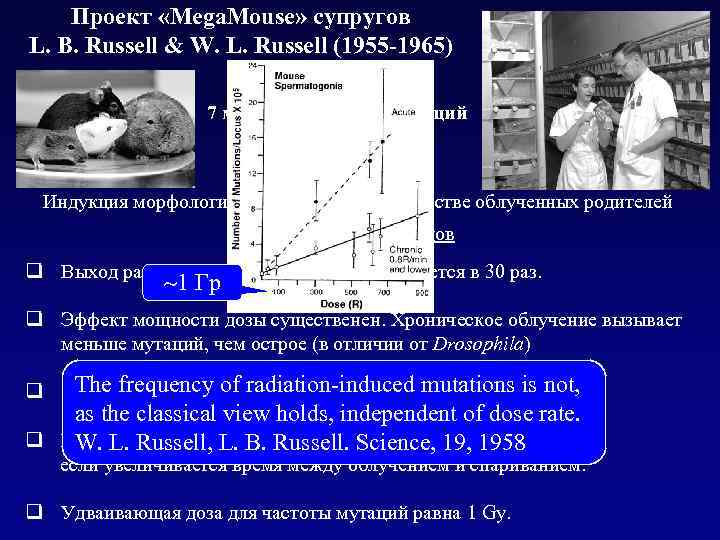 Проект «Mega. Mouse» супругов L. B. Russell & W. L. Russell (1955 -1965) 7