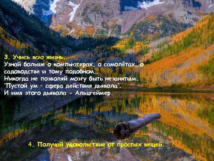 3. Учись всю жизнь. Узнай больше о компьютерах, о самолётах, о садоводстве и тому