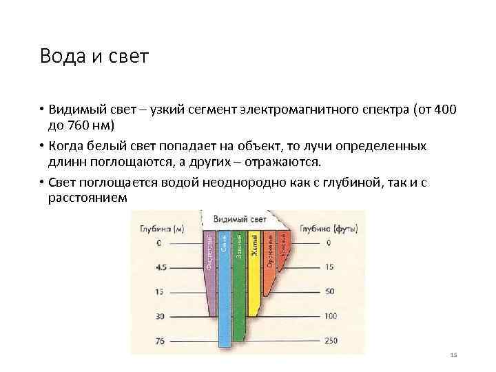 Вода и свет • Видимый свет – узкий сегмент электромагнитного спектра (от 400 до
