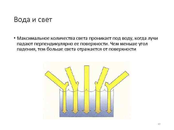 Вода и свет • Максимальное количества света проникает под воду, когда лучи падают перпендикулярно