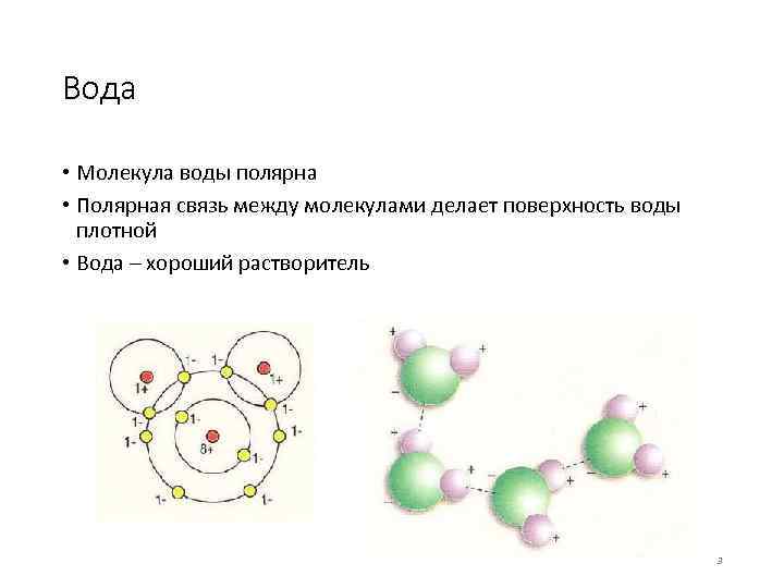 Какие молекулы полярны