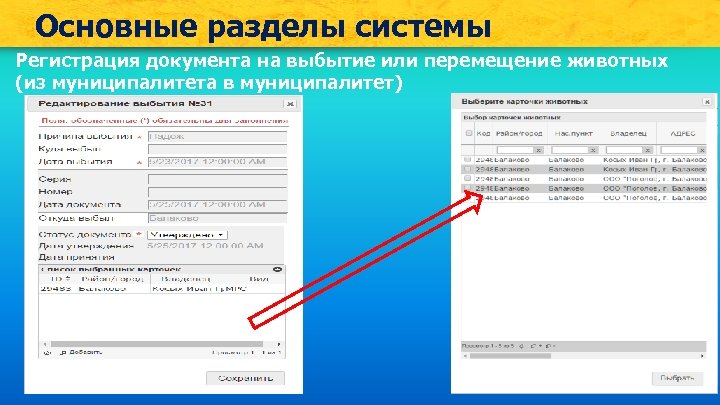 Основные разделы системы Регистрация документа на выбытие или перемещение животных (из муниципалитета в муниципалитет)