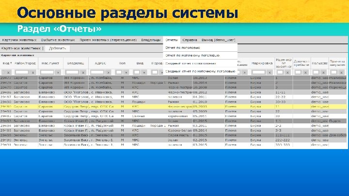 Основные разделы системы Раздел «Отчеты» 
