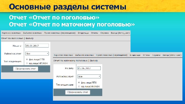 Основные разделы системы Отчет «Отчет по поголовью» Отчет «Отчет по маточному поголовью» 