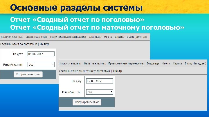 Основные разделы системы Отчет «Сводный отчет по поголовью» Отчет «Сводный отчет по маточному поголовью»