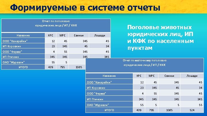 Формируемые в системе отчеты Отчет по поголовью юридические лица / ИП / КФХ Название