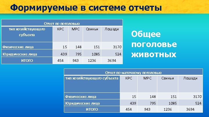 Формируемые в системе отчеты Отчет по поголовью тип хозяйствующего КРС МРС субъекта Физические лица