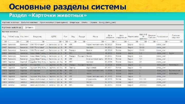Основные разделы системы Раздел «Карточки животных» 