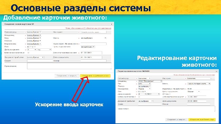 Основные разделы системы Добавление карточки животного: Редактирование карточки животного: Ускорение ввода карточек 