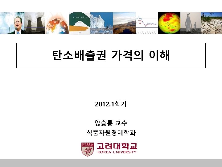 탄소배출권 가격의 이해 2012. 1학기 양승룡 교수 식품자원경제학과 