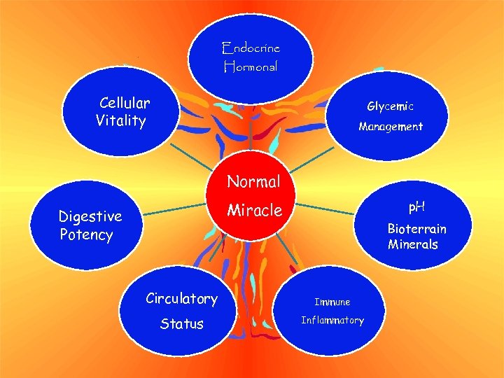 Endocrine Hormonal Cellular Vitality Glycemic Management Normal p. H Miracle Digestive Potency Bioterrain Minerals