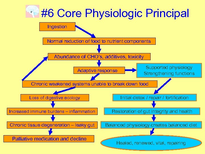 #6 Core Physiologic Principal Ingestion Normal reduction of food to nutrient components Abundance of