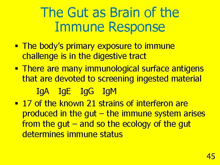 The Gut as Brain of the Immune Response § The body’s primary exposure to