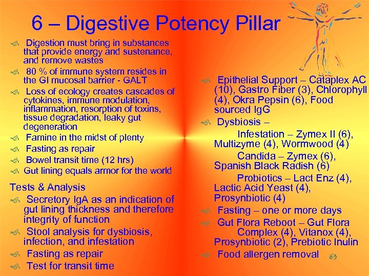 6 – Digestive Potency Pillar f Digestion must bring in substances that provide energy