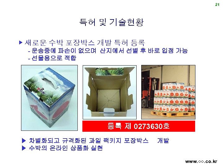 21 특허 및 기술현황 ▶ 새로운 수박 포장박스 개발 특허 등록 - 운송중에 파손이