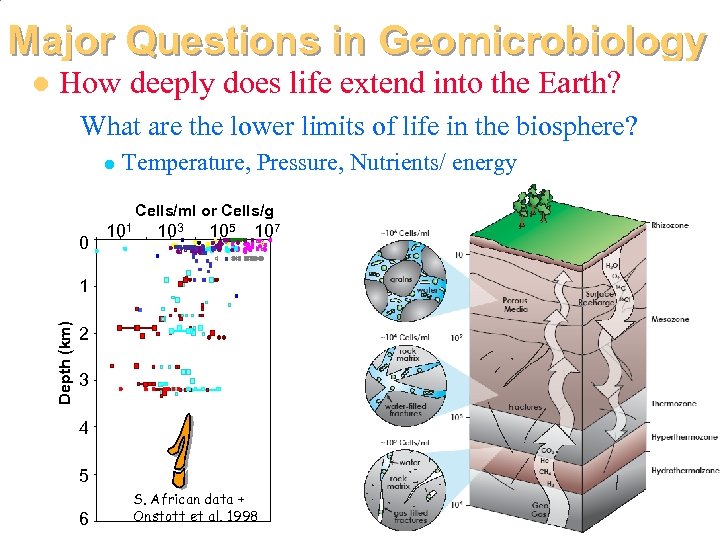 Major Questions in Geomicrobiology How deeply does life extend into the Earth? What are