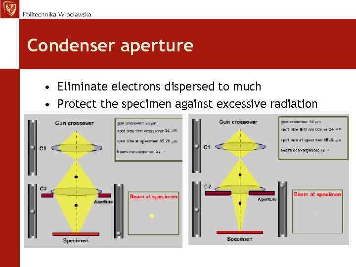 Condenser aperture • Eliminate electrons dispersed to much • Protect the specimen against excessive