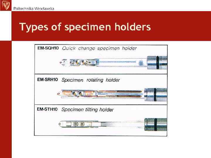 Types of specimen holders 